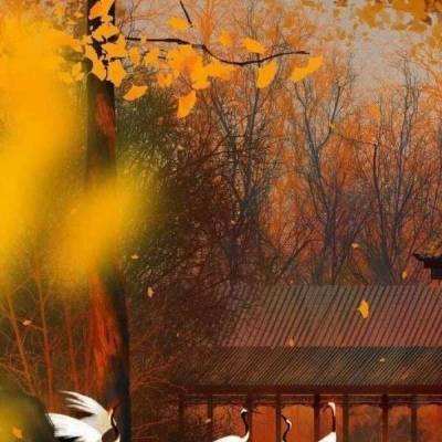 幻世时空手游下载